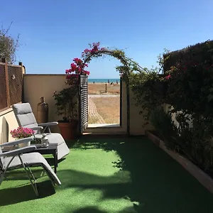  Apartment Beach Flat With Garden